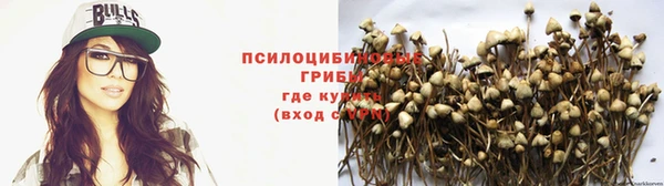 гашик Абаза