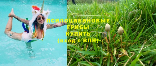 соль ск Гусев