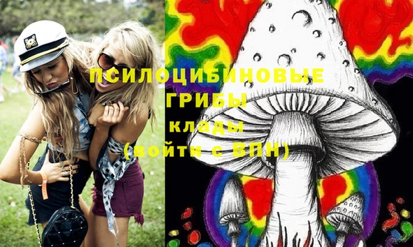 гашик Абаза