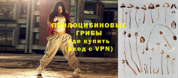 apvp Абдулино