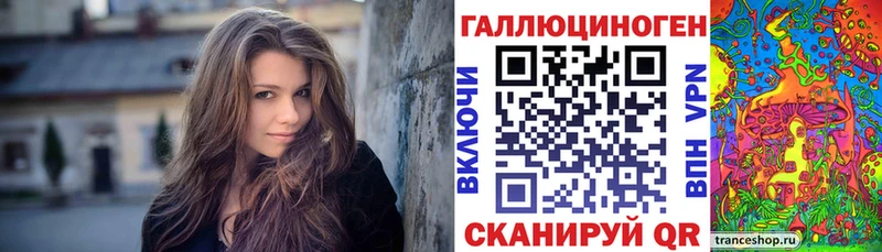 Галлюциногенные грибы Psilocybine cubensis как найти наркотики Разумное